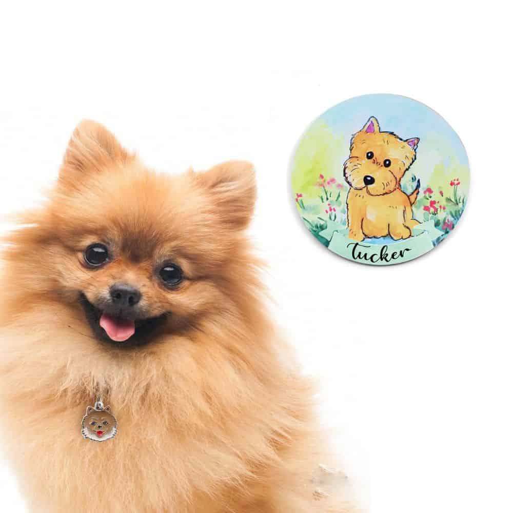 Handpainted Character Table Art -Looking at me Dog - rangreli
