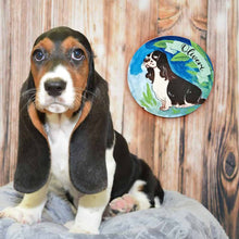 Load image into Gallery viewer, Handpainted Character Table Art -Droopy Dog
